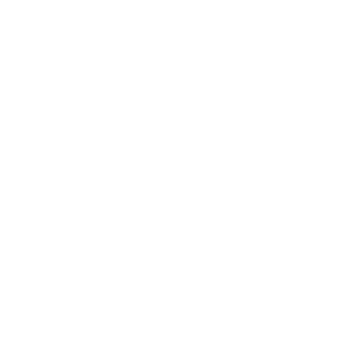 light logo
